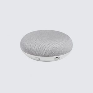 Google Nest Mini Speakers